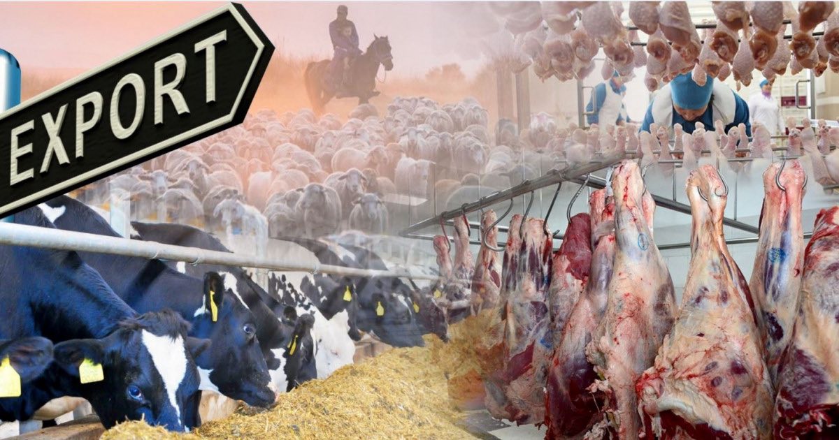 МЯСНАЯ ПРОДУКЦИЯ, ПРОИЗВЕДЕННАЯ В КЕЛЕСЕ, ВЫШЛА НА МЕЖДУНАРОДНЫЙ РЫНОК