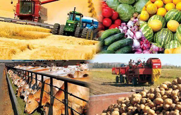 🌾УВАЖАЕМЫЕ ЖИТЕЛИ И ГОСТИ РАЙОНА!