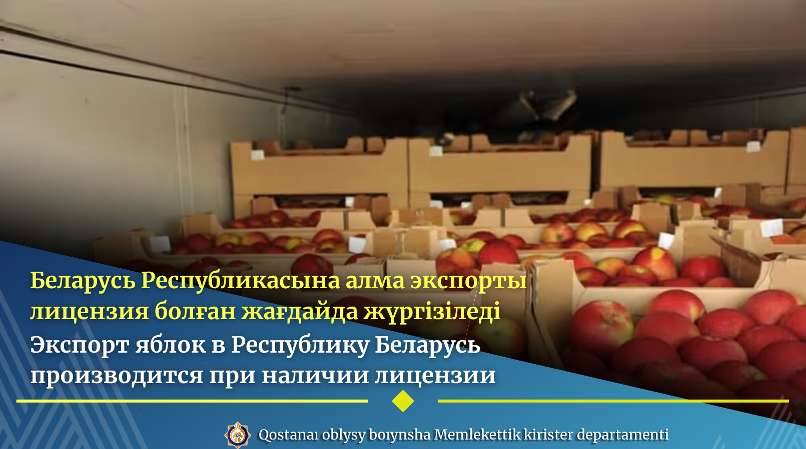 Беларусь Республикасына алма экспорты лицензия болған жағдайда жүргізіледі