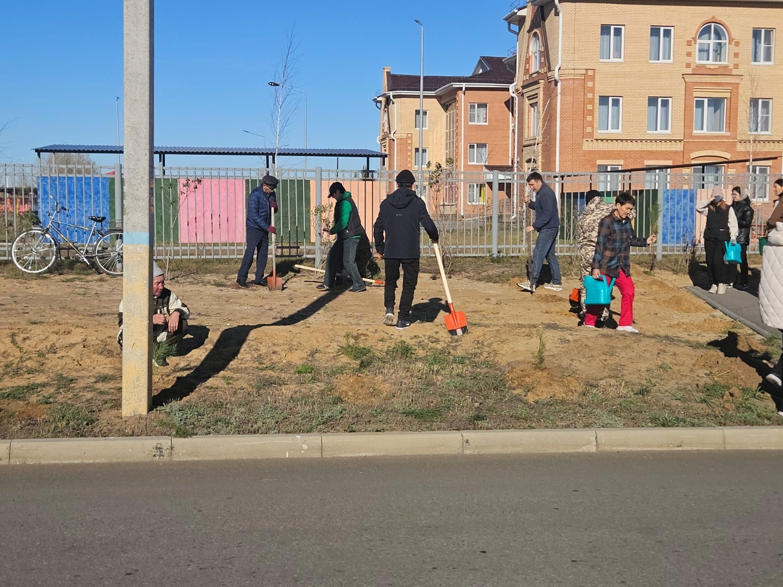 В селе Аулиеколь произведена посадка саженцев