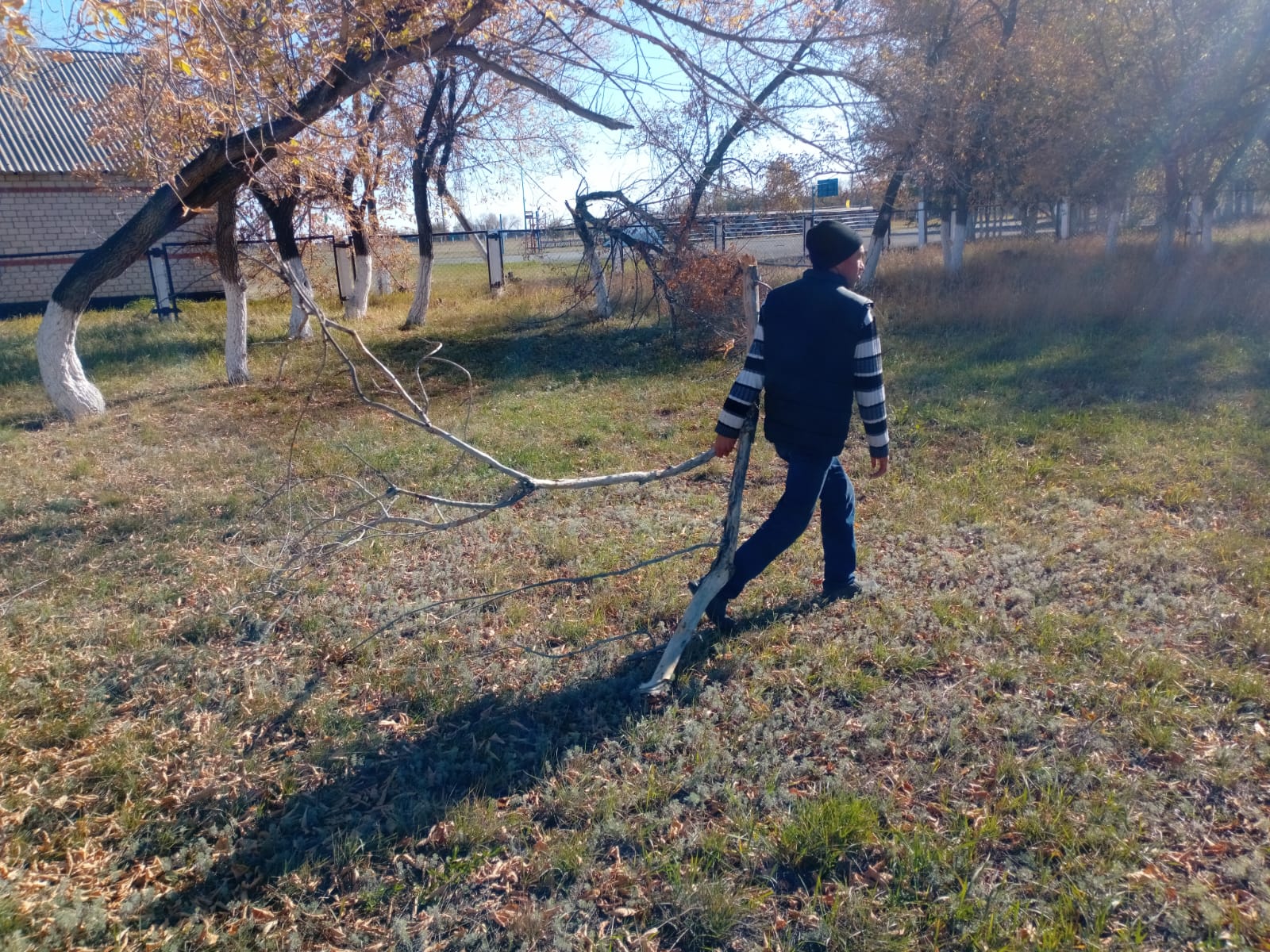 Сбор сухих веток по улицам села