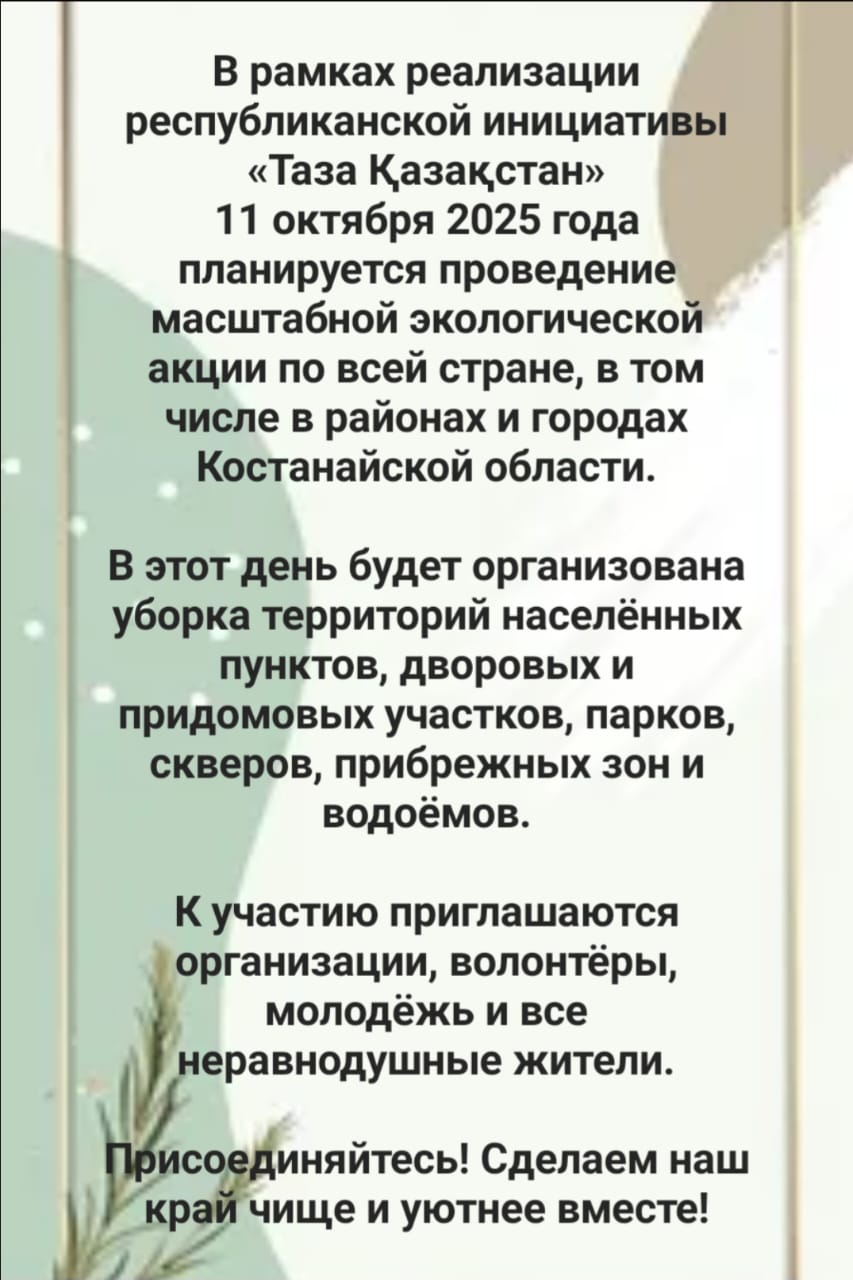 Проведение масштабной экологической акции.