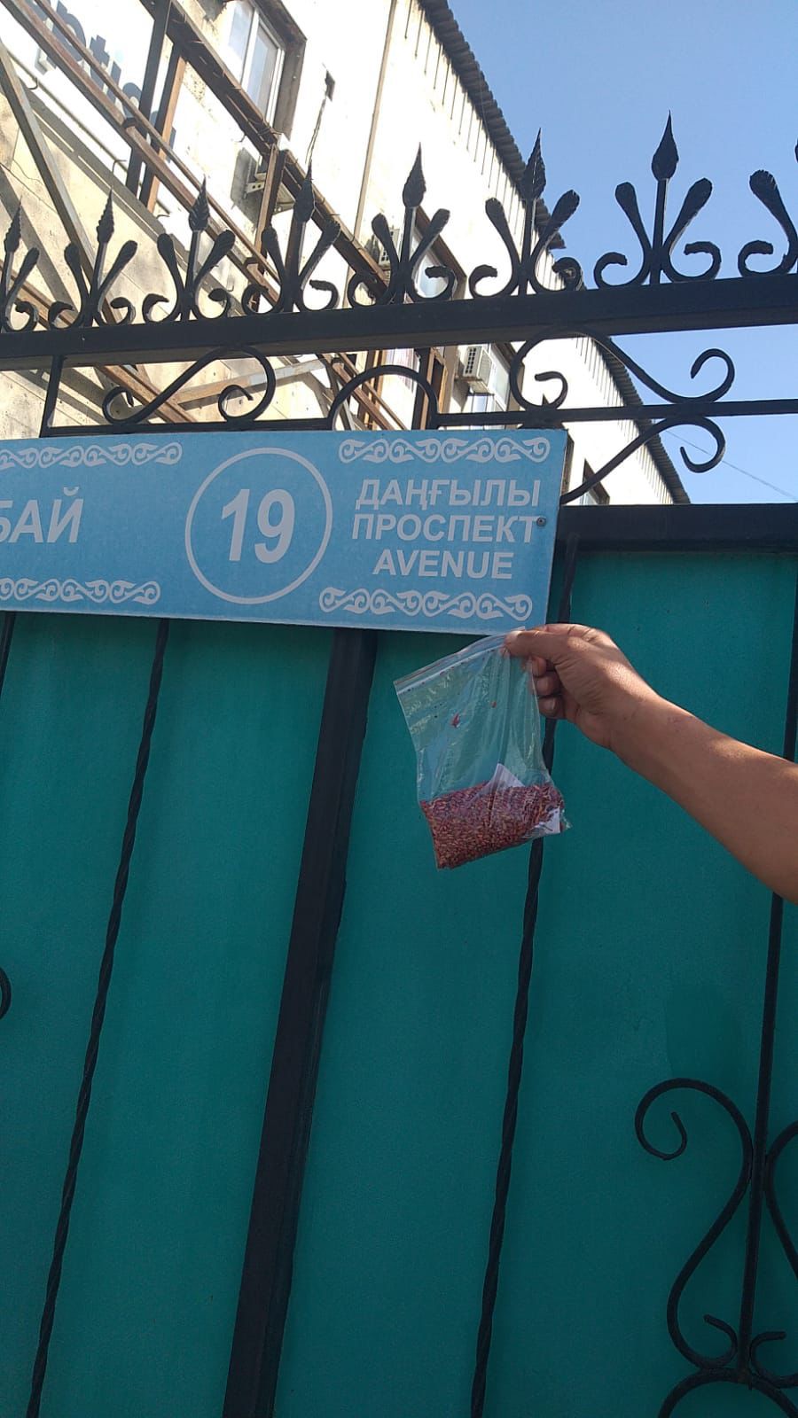 Алматыда дератизация аясында 20 гектардан астам аумақ дәріленеді