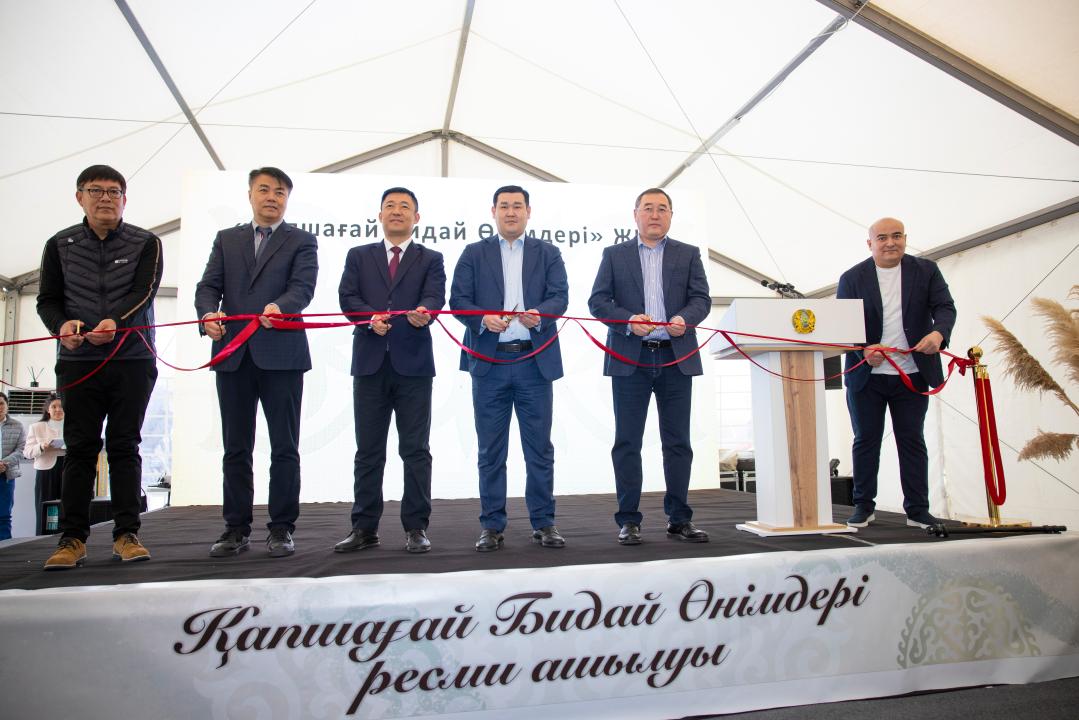 В Конаеве открыли завод по переработке пшеницы на 15 млрд тенге