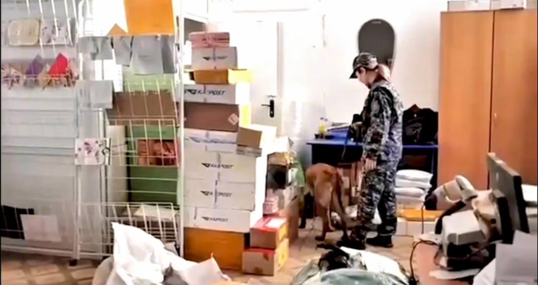 Деятельность трех наркогрупп пресекла полиция в области Улытау