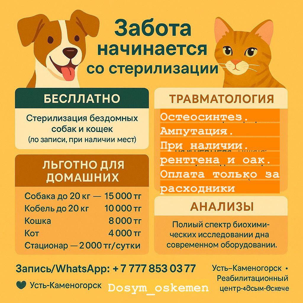 Акция от реабилитационного центра «ДОСЫМ-ОСКЕМЕН»! 