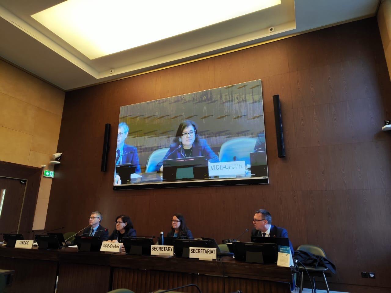 Kazakhstan Elected to the Steering Committee of the UNECE Task Force on Environmental Statistics