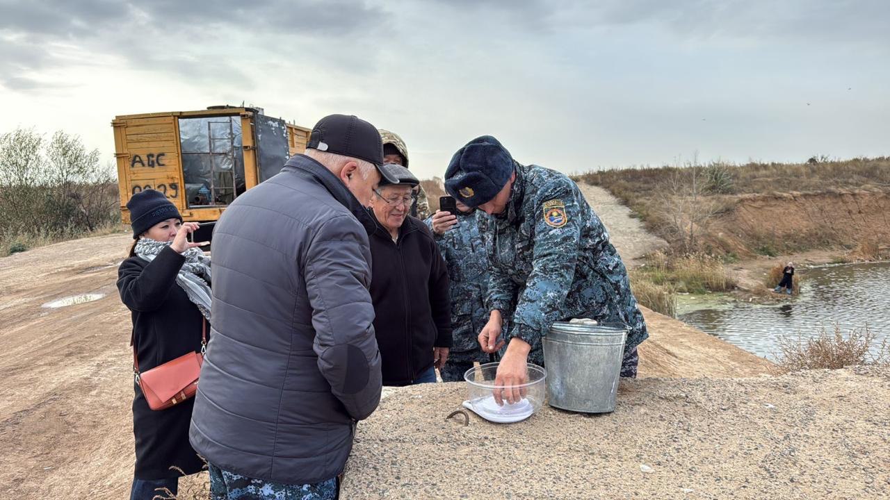 Более 237 тысяч сеголебеток белого амура выпущено в реку Есиль