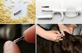 Уважаемые жители и владельцы сельскохозяйственных животных!