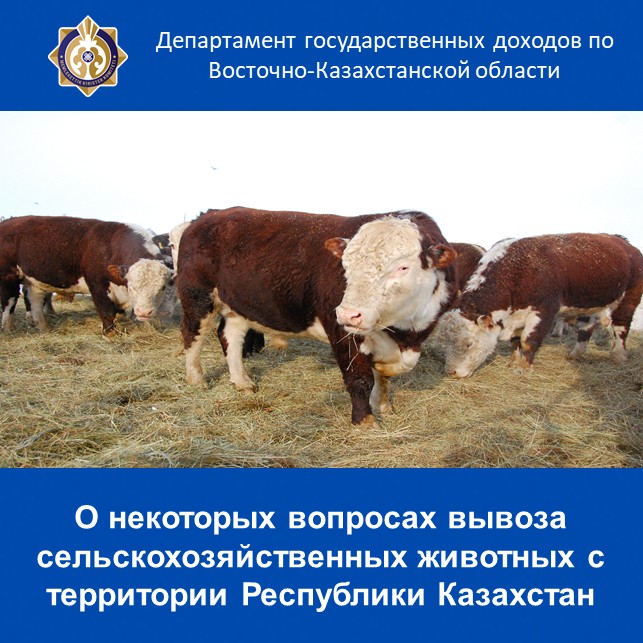 О некоторых вопросах вывоза сельскохозяйственных животных с территории Республики Казахстан