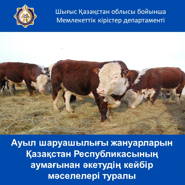 Ауыл шаруашылығы жануарларын Қазақстан Республикасының аумағынан әкетудің кейбір мәселелері туралы