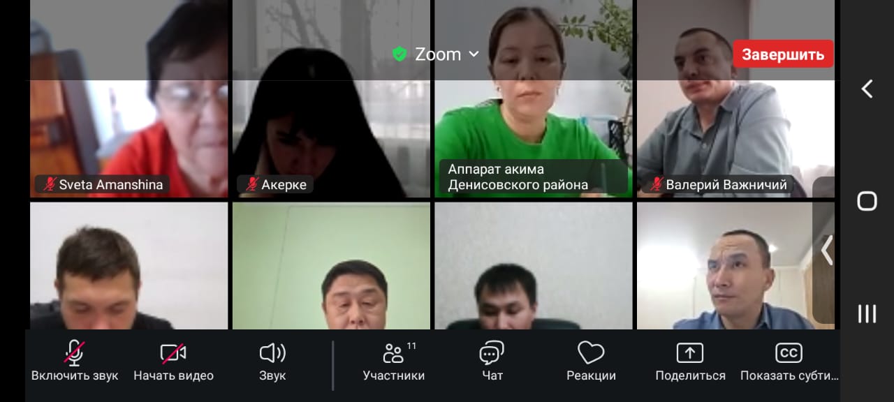 Заседание Общественного совета Денисовского района № 12