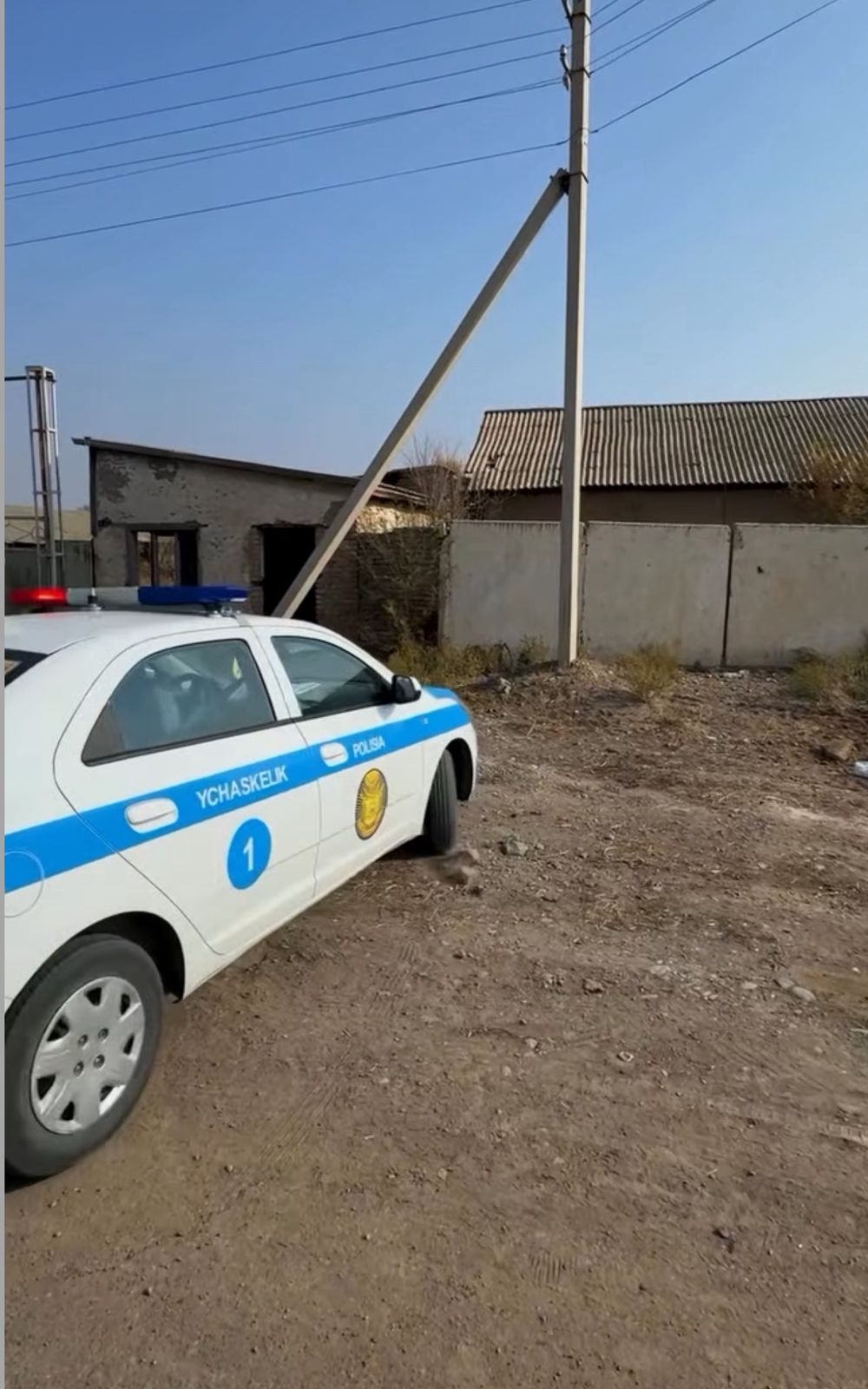 Нашақорлыққа ЖОҚ де