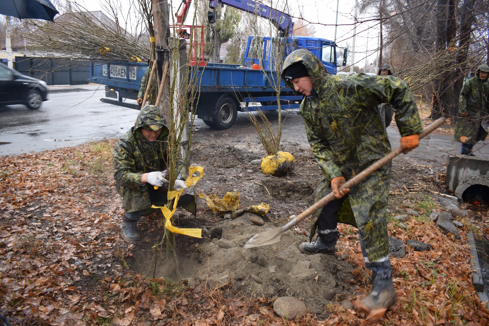 В Талдыкоргане начали посадку деревьев на местах несанкционированных свалок