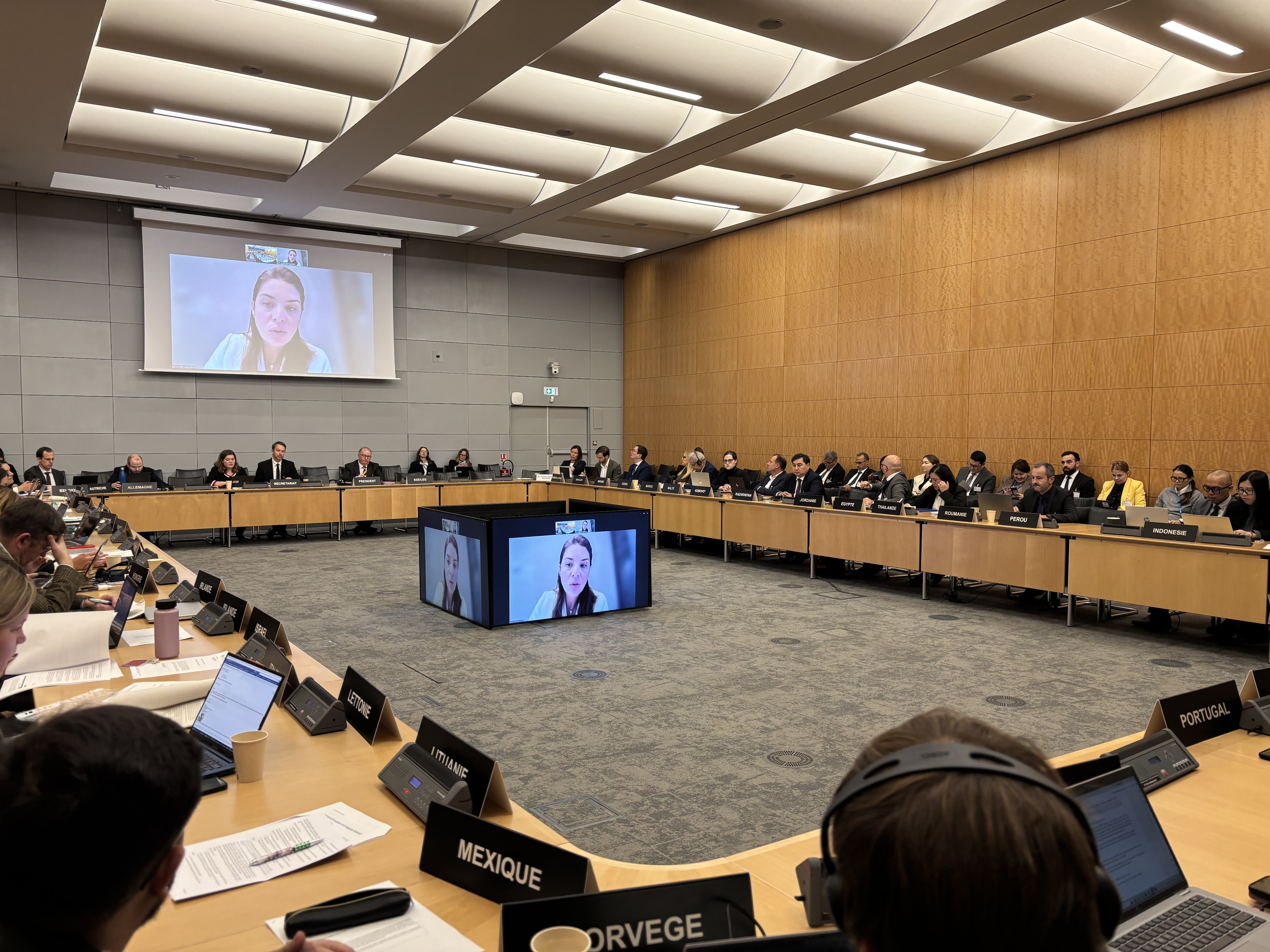 Казахстан представил  результаты антикоррупционных реформ  на площадке  ОЭСР