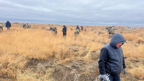 Сексеуіл көшеттерін қазу жұмыстары жүргізілуде