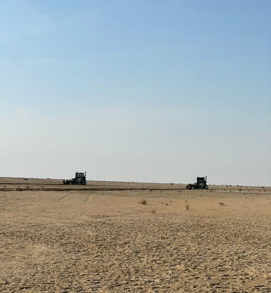 Арал теңізінің құрғаған ұлтанын ормандандыру жұмыстары жалғасын табуда