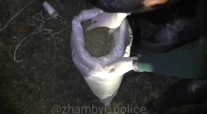 Полицейские изъяли в Шу свыше 50 кг марихуаны: задержаны двое местных жителей