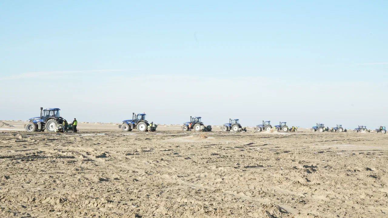 Арал теңізінің құрғаған табанында сексеуілдің күзгі отырғызу жұмыстары басталды