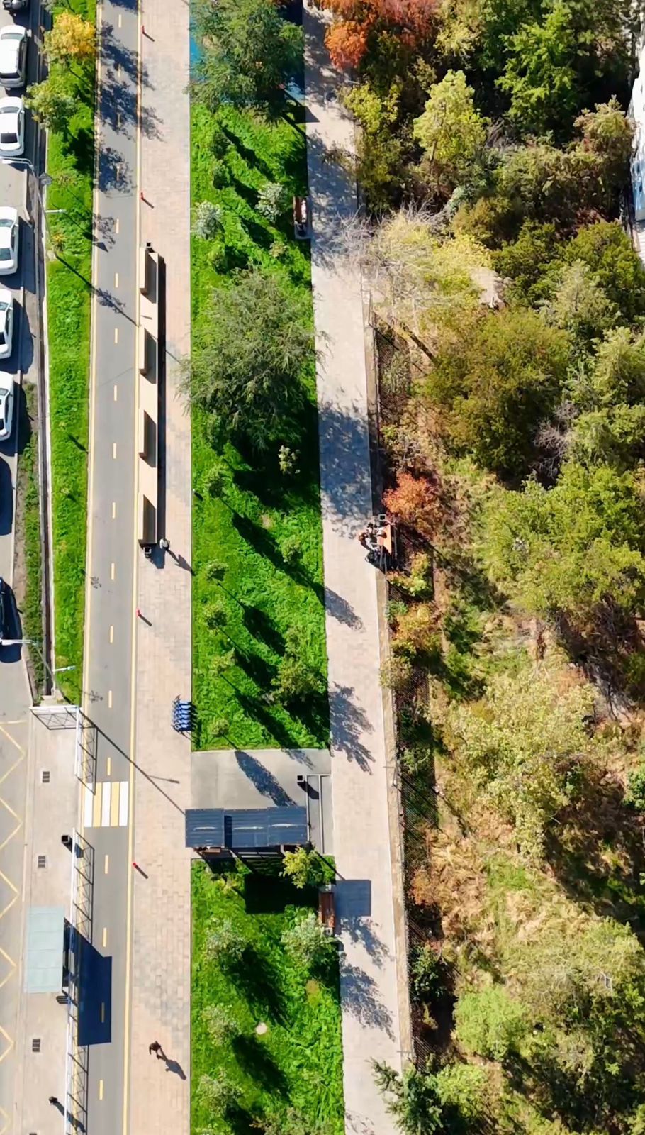 Больше зелени и света — в Алматы на улице Торайгырова завершили масштабное обновление