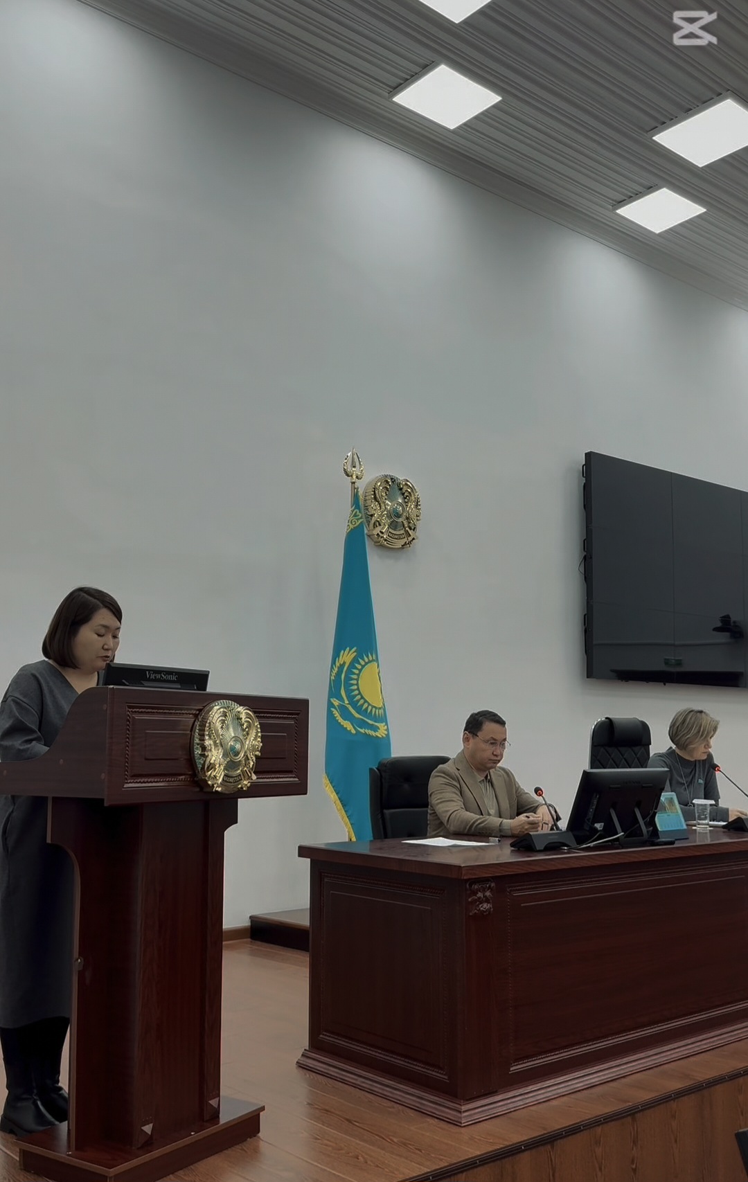 Заседание постоянной комиссии  по вопросам социального и культурного развития