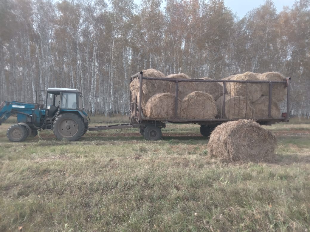 Биотехнические мероприятия