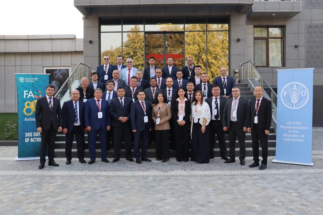 Страны Кавказа и Центральной Азии обсудили итоги борьбы с саранчой и планы на 2026 год