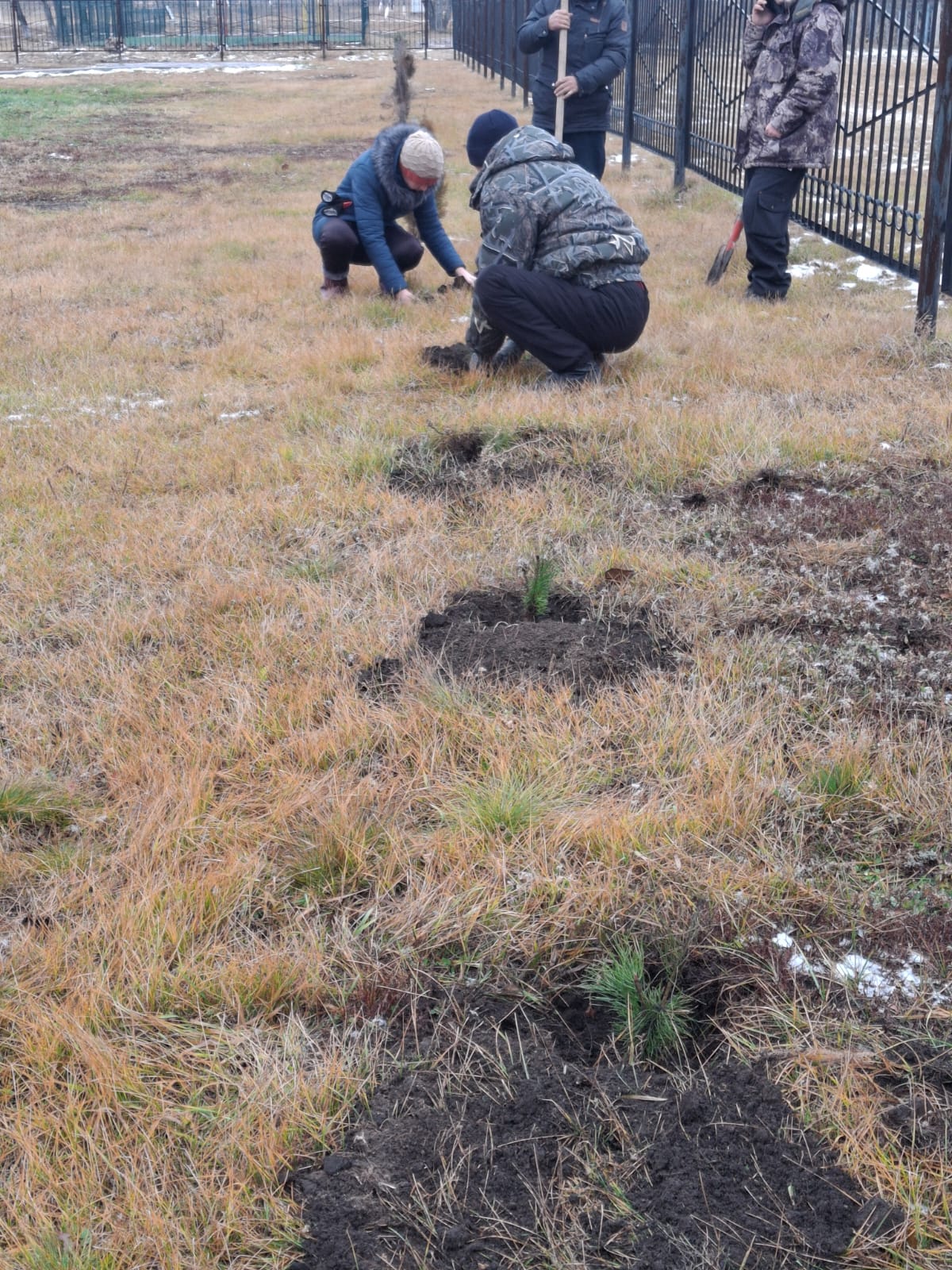 абаттандыру