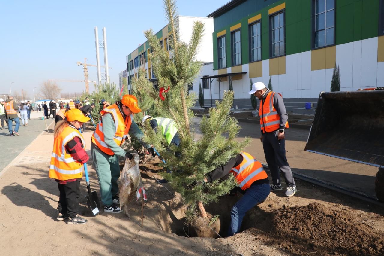 Алматы расширяет зелёный фонд: застройщик школы увеличил объём посадки деревьев в десять раз