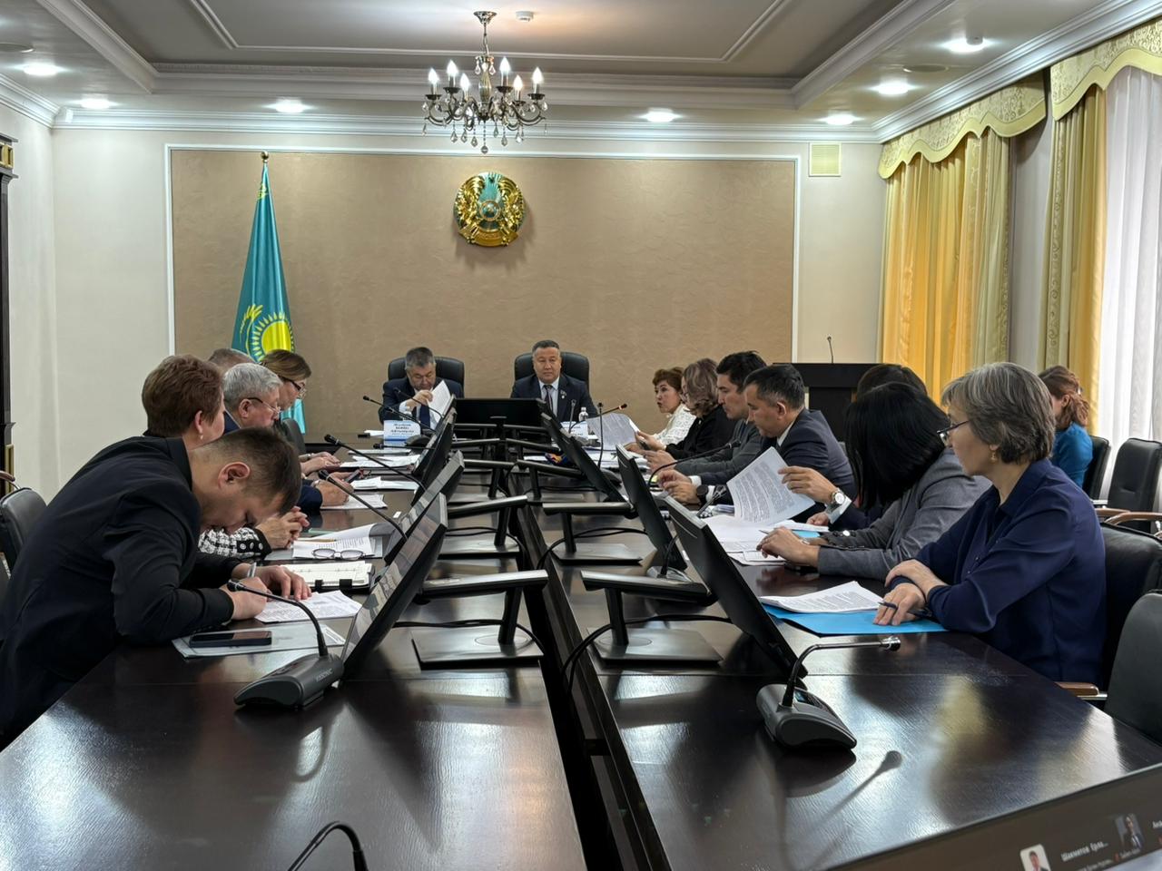 Комиссия депутаттары инклюзивті саясат мәселелерін қарады