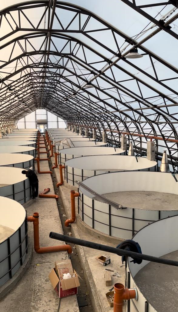 Шығыс Қазақстан облысында 348 млн теңге тұратын балық өсіру кешені салынады