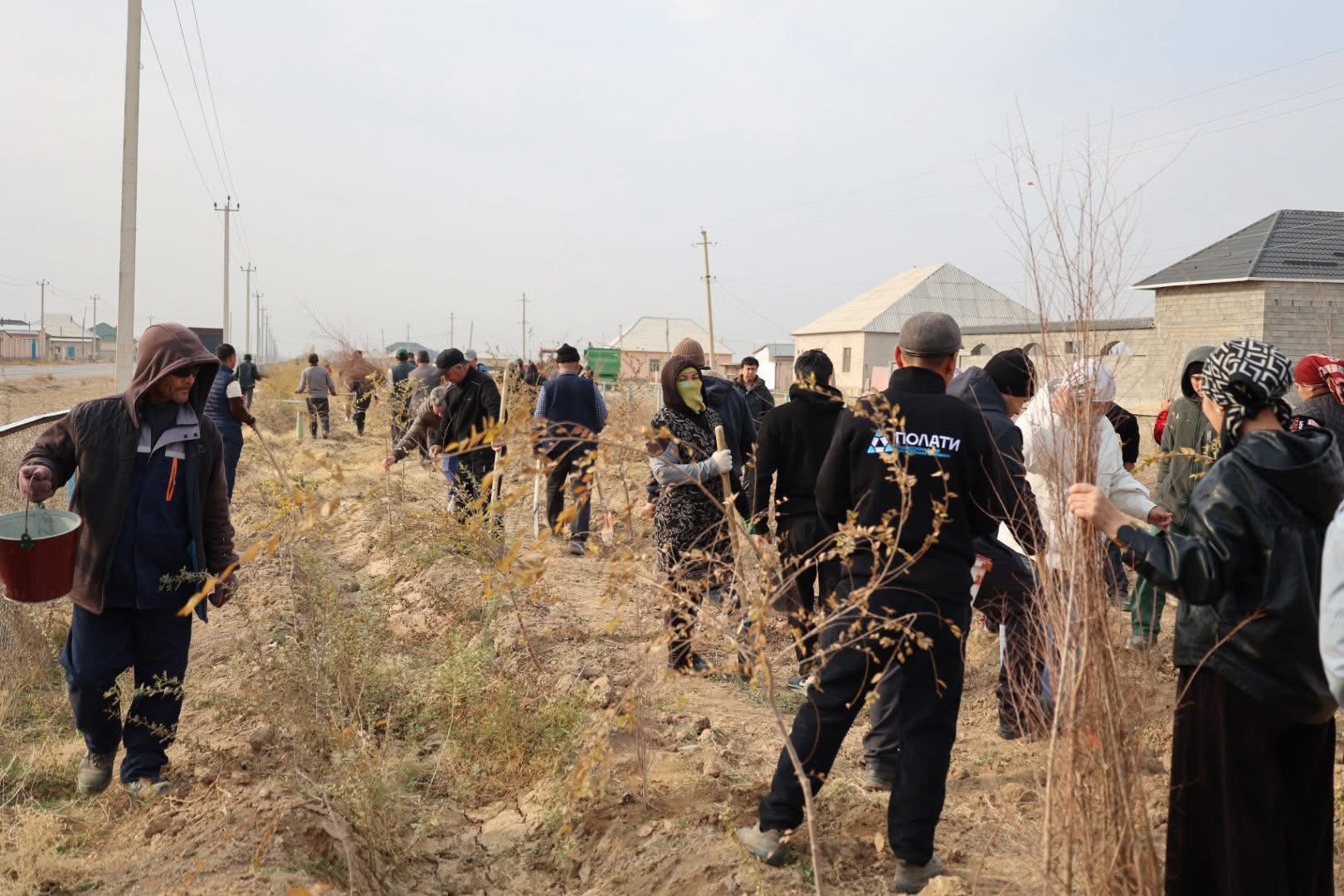 ТҮРКІСТАН: САУРАН АУДАНЫНДА 5000 ТҮП КӨШЕТ ОТЫРҒЫЗЫЛДЫ