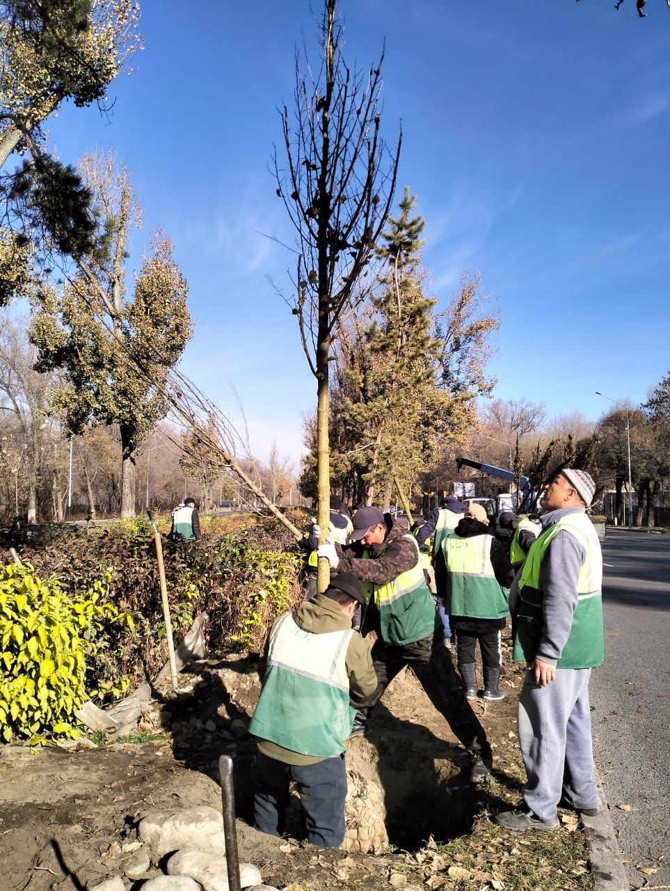 Алматыда 570 мыңнан астам жасты қамтыған 500-ден аса экологиялық іс-шара өткізілді