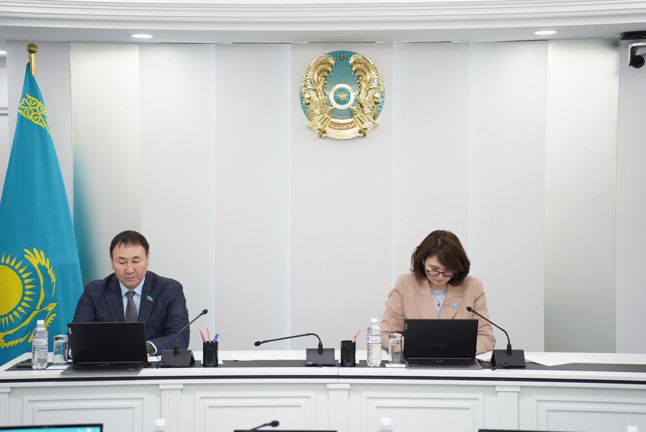 Астанада дене шынықтыру мен спортты дамыту стратегиясы бойынша қоғамдық тыңдаулар өтті