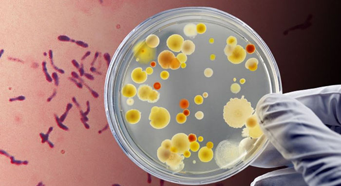 Медики напомнили о профилактике дифтерии: вакцинация остаётся главным способом защиты