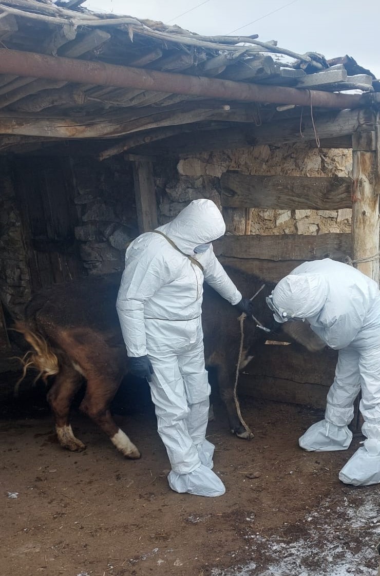 Саладағы 11 айда атқарылған іс-шаралар