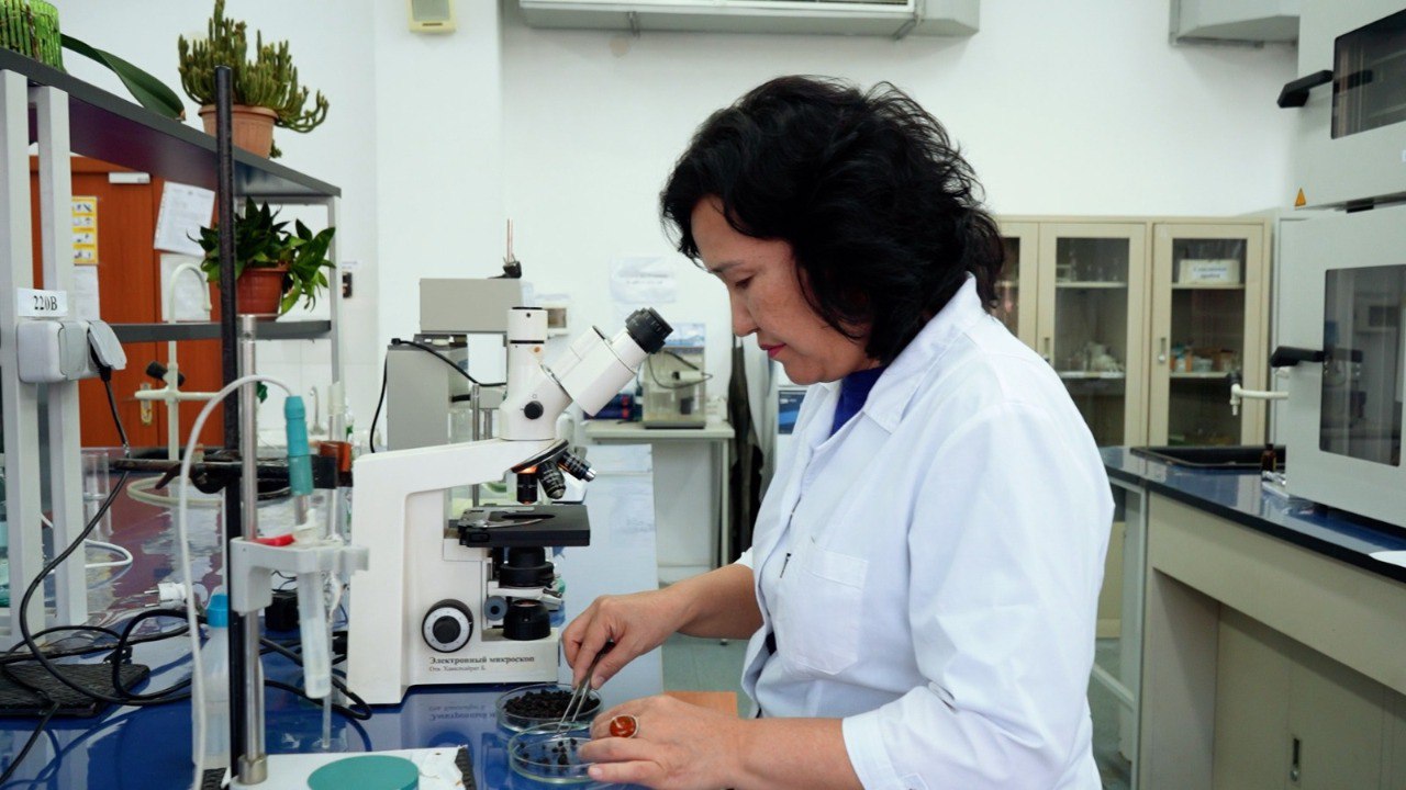 ҚазҰУ ғалымдары тұқымдарды қорғаудың тиімді жолын тапты