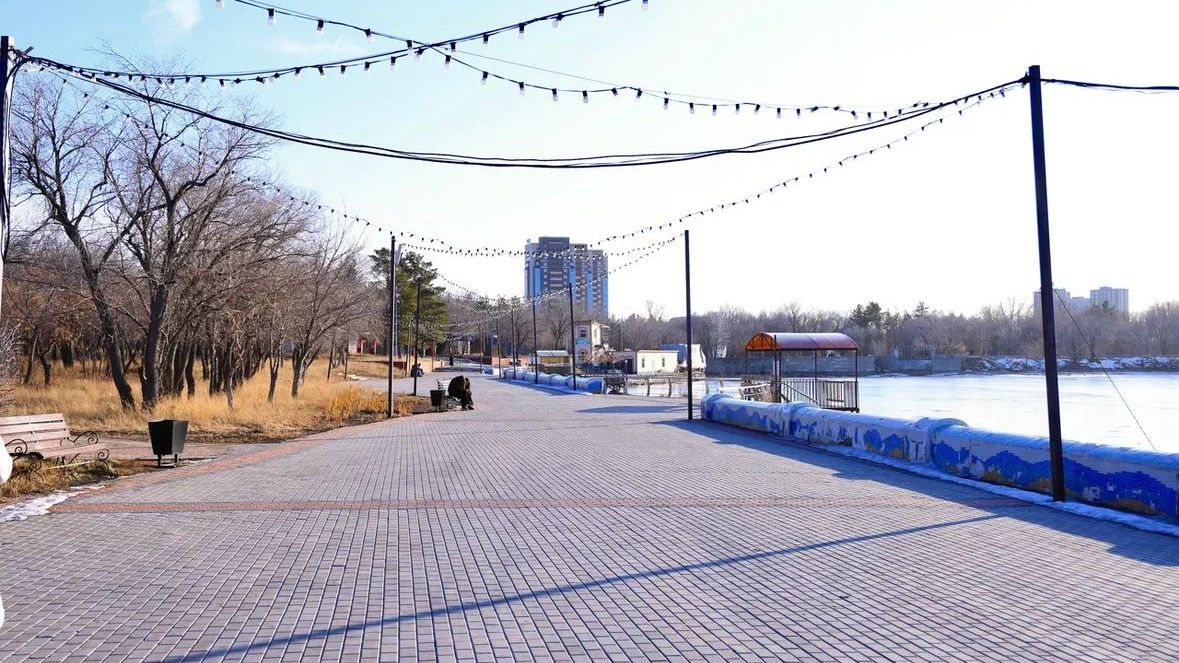 Қарағандының Орталық саябағында ағаштардың нақты саны анықталды