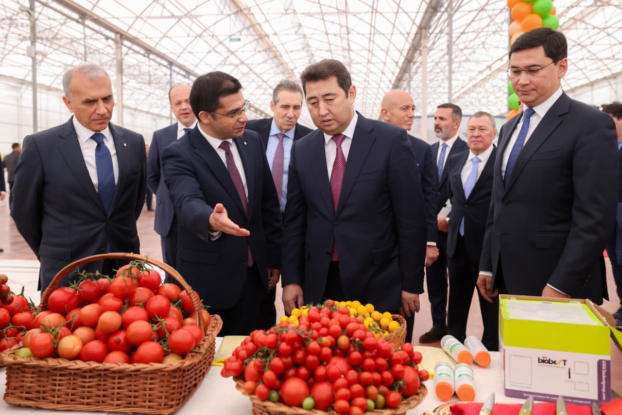 Тепличный комплекс «ALSERA KZ» мощностью 155 тыс. тонн томатов в год запустили в Шымкенте