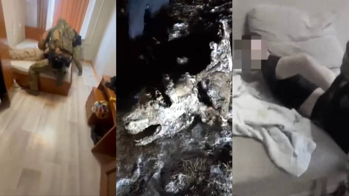 Скотокрадов задержали в области Улытау