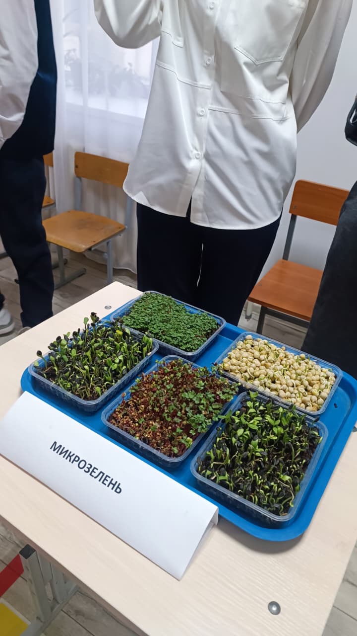 ОБРАЗОВАНИЕ XXI ВЕКА: СИНТЕЗ ЦИФРОВИЗАЦИИ, ИССЛЕДОВАТЕЛЬСКИХ НАВЫКОВ И КОГНИТИВНОГО РАЗВИТИЯ