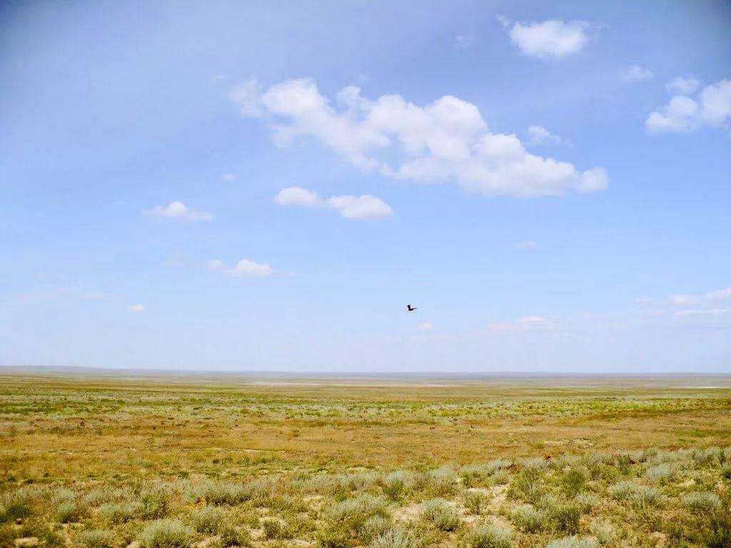 Абай облысында пайдаланылмайтын ауыл шаруашылығы жерлері мемлекет меншігіне мерзімінен бұрын қайтарылды