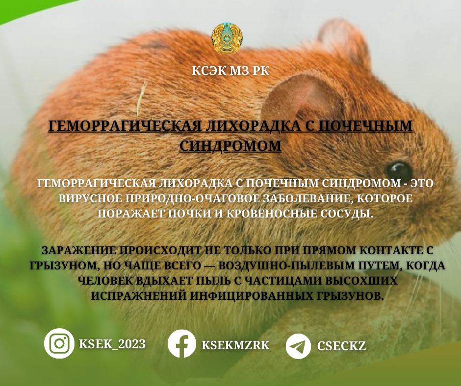 Геморрагическая лихорадка с почечным синдромом