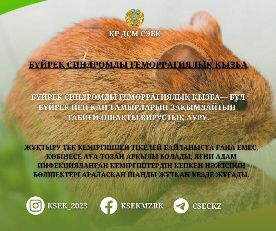 Бүйрек синдромды геморрагиялық қызба