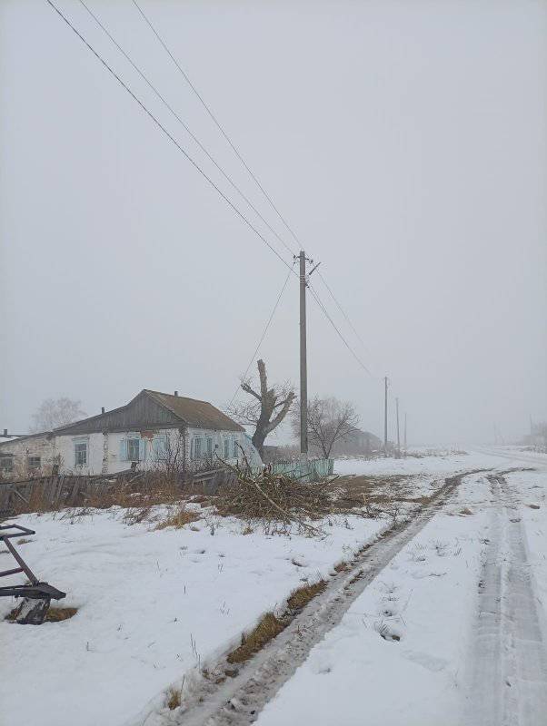 Арыкбалыкский филиал энергоснабжающей организации ТОО «Кокшетау Энерго» приступил к плановой обрезке деревьев, расположенных вблизи линий электропередачи в селе Верхний Бурлук.