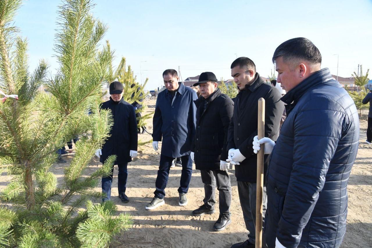 Атырауда күзгі тал отырғызу науқаны аясында 4 мыңға жуық жасыл желек егілді