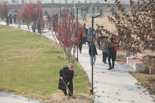 ТАЗА ҚАЗАҚСТАН: САРЫАҒАШ АУДАНЫНДА ӨТКЕН СЕНБІЛІККЕ 3 МЫҢНАН  АСТАМ АДАМ ҚАТЫСЫП, 11 МЫҢҒА ЖУЫҚ КӨШЕТ ЕГІЛДІ
