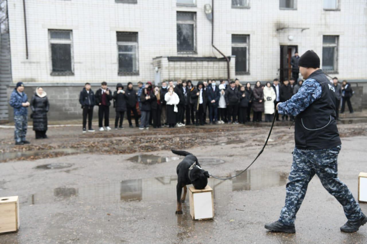 «Esirtkisiz Elorda»: Астанада студенттерге кинологиялық қызметтің қыр-сыры үйретілді