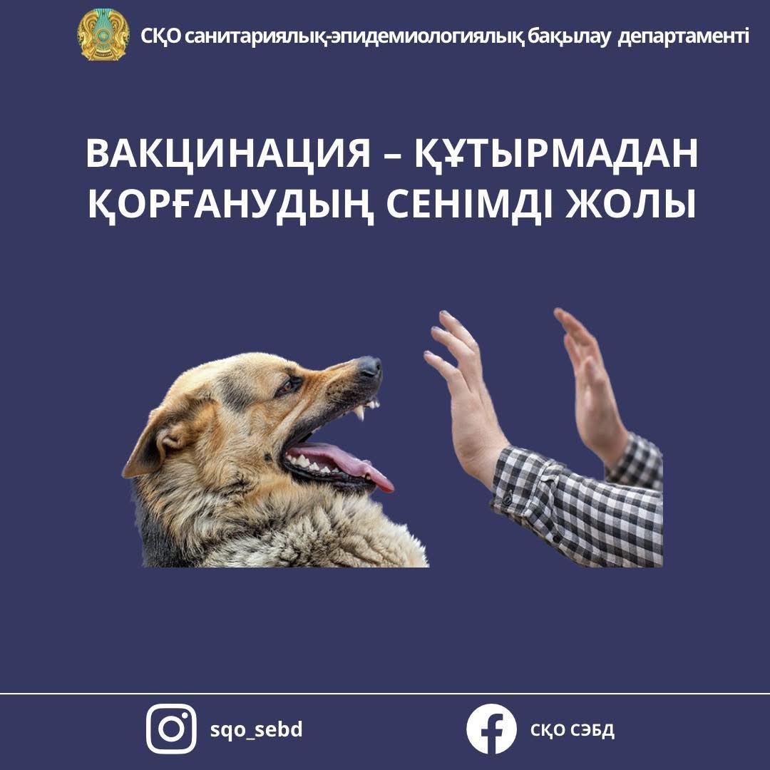 📌Құтырма – адам үшін өлімге әкелетін қауіп!