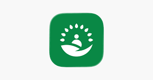 Жаңа хабарландыру сервисі: азаматтар мемлекеттік қызметтердің қолжетімділігі туралы алдын ала біле алады